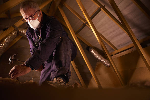 Best Insulation Materials and Products in Horse Shoe, NC